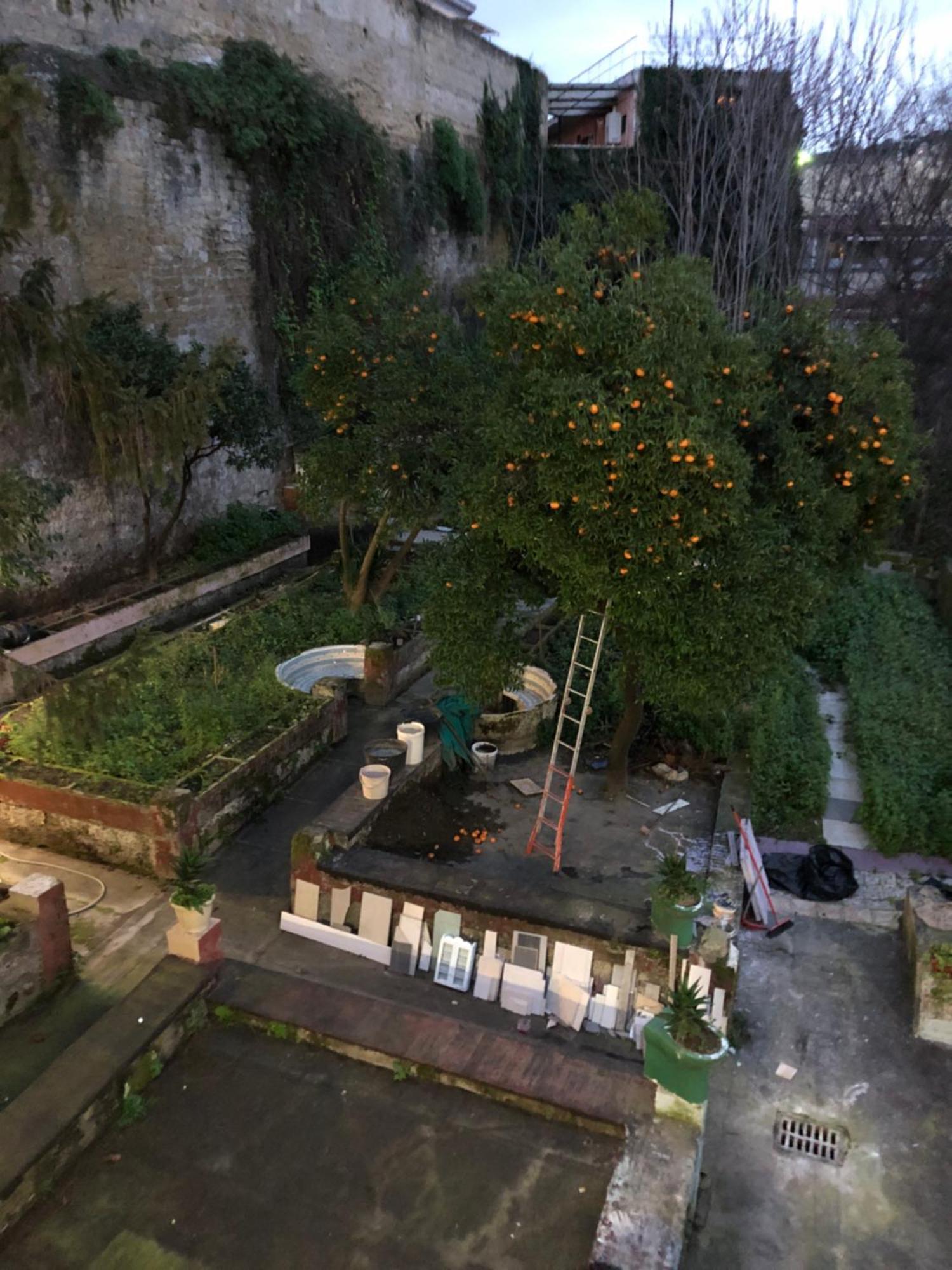 Casa Dea Napoli Nápoles Exterior foto